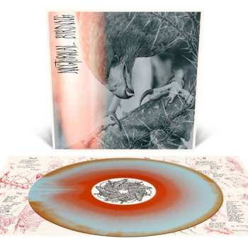 Album Author & Punisher: Nocturnal Birding