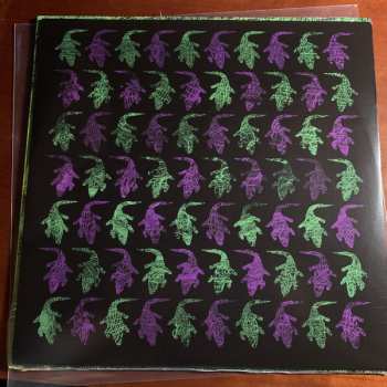 LP Avey Tare: Down There