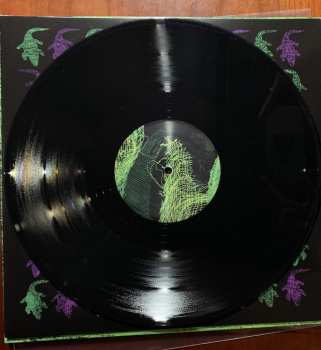 LP Avey Tare: Down There