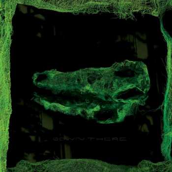 CD Avey Tare: Down There
