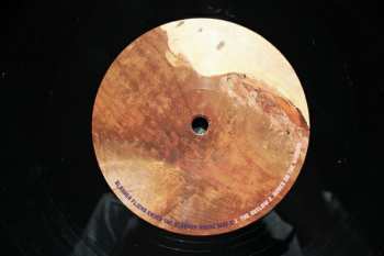 2LP Avey Tare's Slasher Flicks: Enter The Slasher House