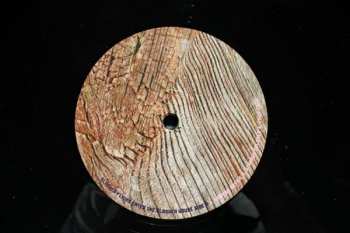 2LP Avey Tare's Slasher Flicks: Enter The Slasher House