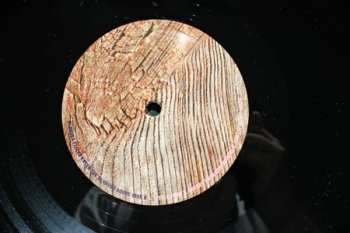 2LP Avey Tare's Slasher Flicks: Enter The Slasher House