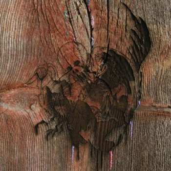 Album Avey Tare's Slasher Flicks: Enter The Slasher House