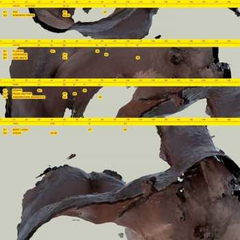 2LP Awe Kid: Body Logic  CLR