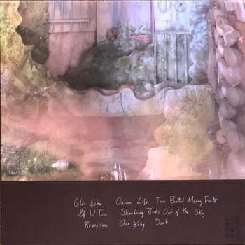 LP Azita: Glen Echo