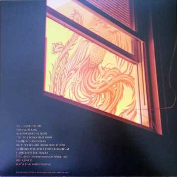 LP Baby Dee: Safe Inside The Day LTD