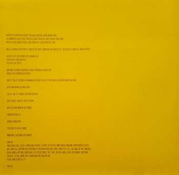 LP Baby In Vain: More Nothing