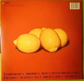 LP Baby In Vain: More Nothing