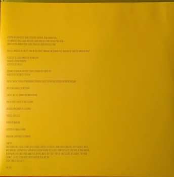 LP Baby In Vain: More Nothing