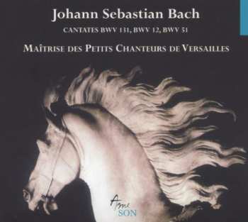 Album Johann Sebastian Bach: Bach Edition (Complete Works)