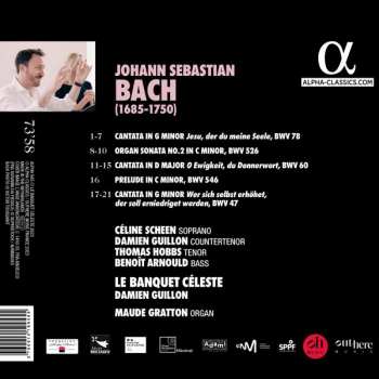 CD Johann Sebastian Bach: Trinitatis