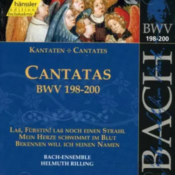 Sacred Cantatas Bwv 198
