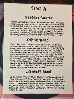 LP Bad Brains: I And I Survive 