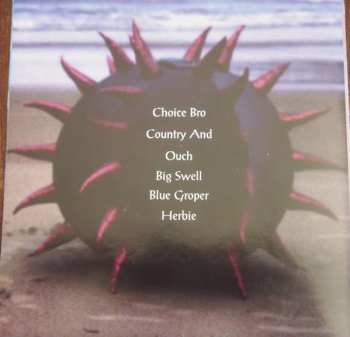 CD Baecastuff: Big Swell