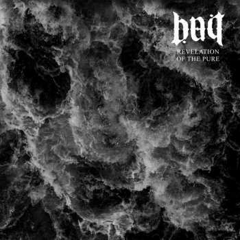 LP Bait: Revelation Of The Pure LTD | CLR
