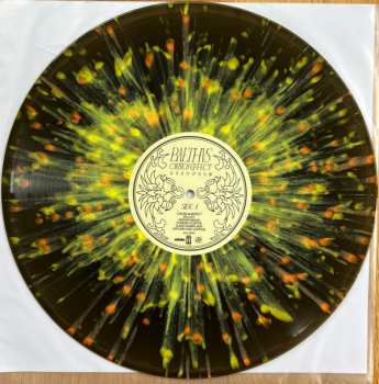 LP BALTHVS: Cause & Effect