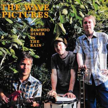 Album The Wave Pictures: Bamboo Diner In The Rain