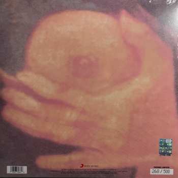 LP Banco Del Mutuo Soccorso: Donna Plautilla LTD | NUM