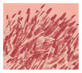 2CD/Doos/Blu-ray Band-Maid: Unseen World LTD