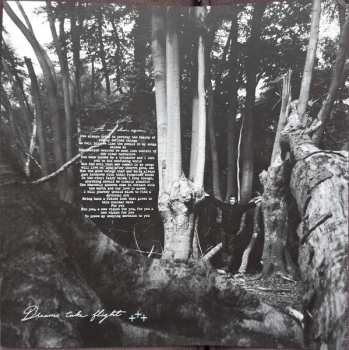 LP Band Of Holy Joy: Dreams Take Flight