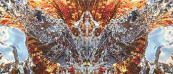 CD Band Of Skulls: Himalayan DIGI