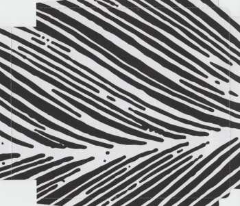 CD Barbora Mochowa: Waiting For The White Raven