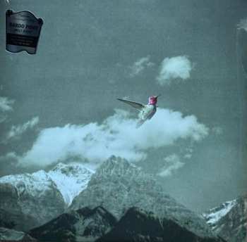 Album Bardo Pond: Melt Away