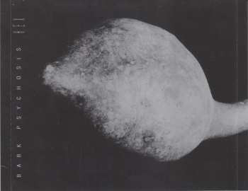 CD Bark Psychosis: Hex