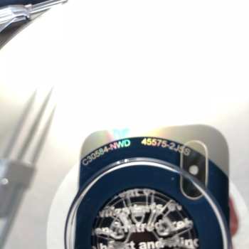 CD Barnabas: Little Foxes