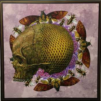 LP Baroness: Purple