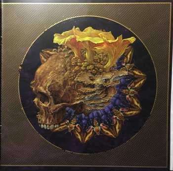 LP Baroness: Purple