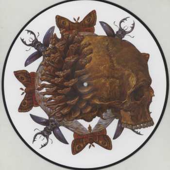 LP Baroness: Try To Disappear LTD | PIC