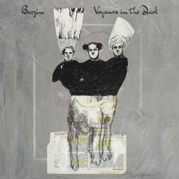 CD Barzin: Voyeurs In The Dark