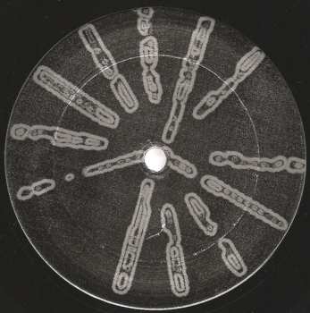 LP Basic Channel: Phylyps Trak II