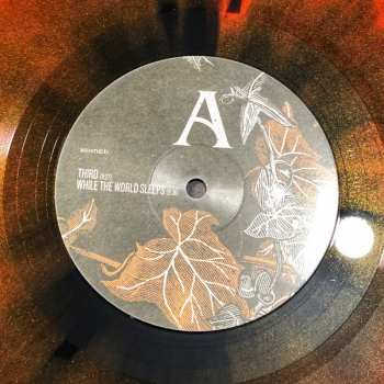 LP Baulta: Another Second Chance LTD | CLR