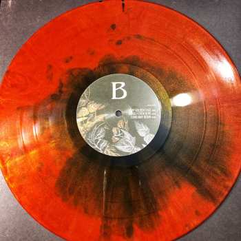 LP Baulta: Another Second Chance LTD | CLR