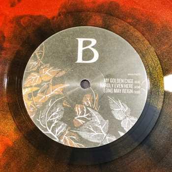 LP Baulta: Another Second Chance LTD | CLR