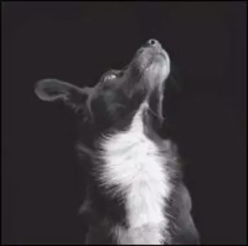 Catchpenny & Cosmos EP Pt. 2