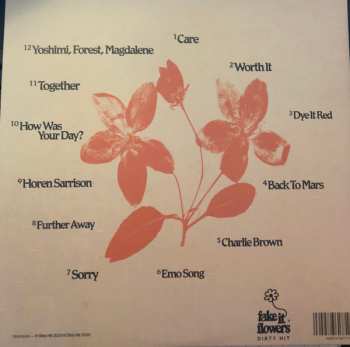 LP beabadoobee: Fake It Flowers