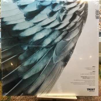 LP Massimo Pupillo: A Distant Hand Lifted