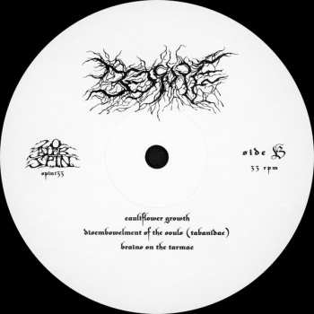 LP Bedsore: Hypnagogic Hallucinations
