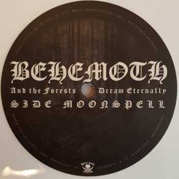 2LP Behemoth: And The Forests Dream Eternally LTD | CLR