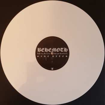 2LP Behemoth: And The Forests Dream Eternally LTD | CLR