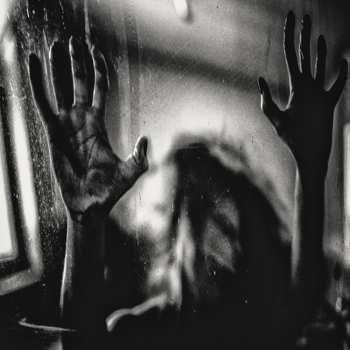 CD Behind The Shadow Drops: H a r m o n i c