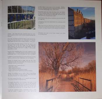 LP/SP Belle & Sebastian: A Bit Of Previous LTD