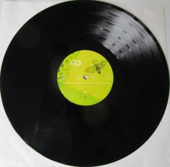 LP Belly: Dove