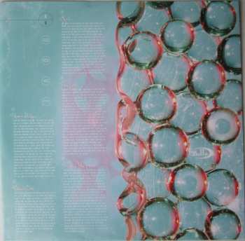LP Belly: Dove