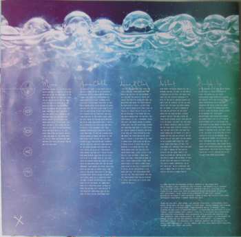 LP Belly: Dove