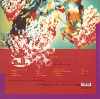 2LP/CD Belly: Star LTD | CLR